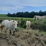 Mi Casa Es Su Casa