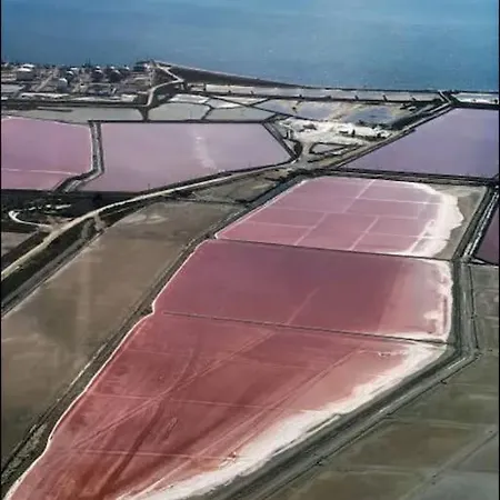 Mi Casa Es Su Casa Lejlighed