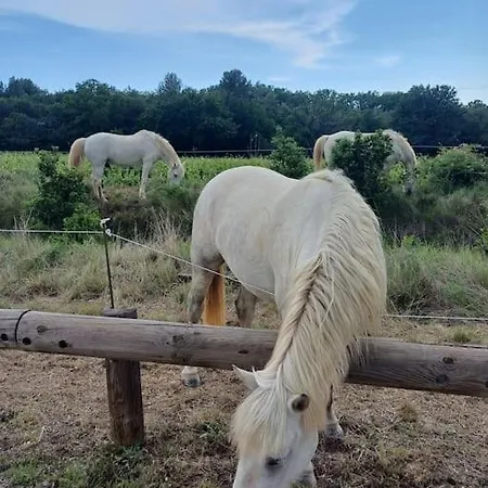 Mi Casa Es Su Casa Vauvert