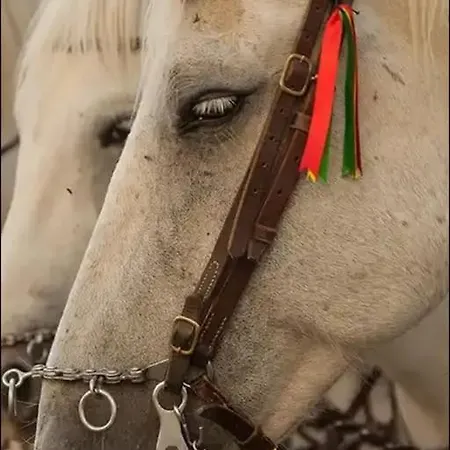 Mi Casa Es Su Casa Lejlighed Vauvert