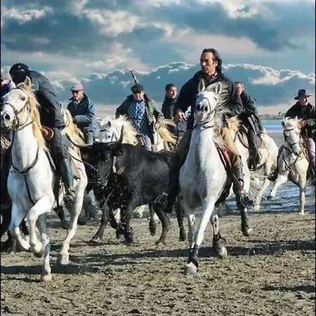 Lejlighed Mi Casa Es Su Casa Vauvert